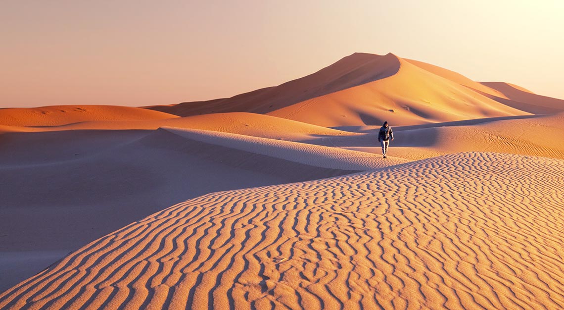 Gobi Desert