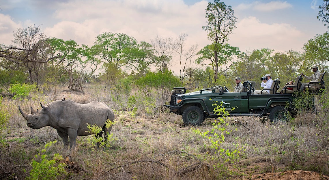 &Beyond Rhinos