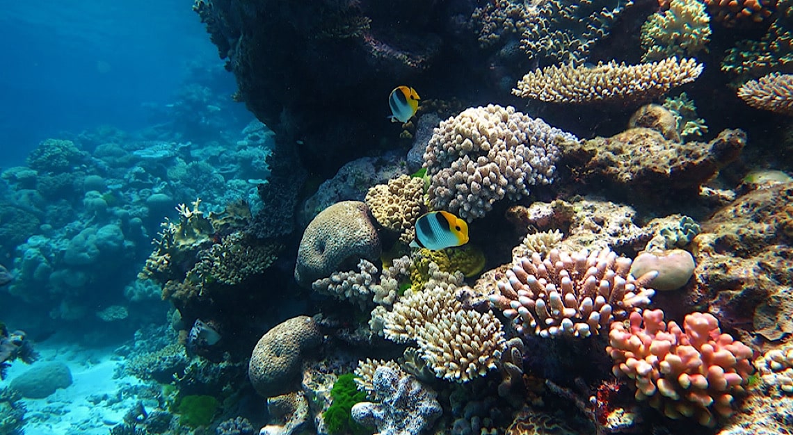 Great Barrier Reef