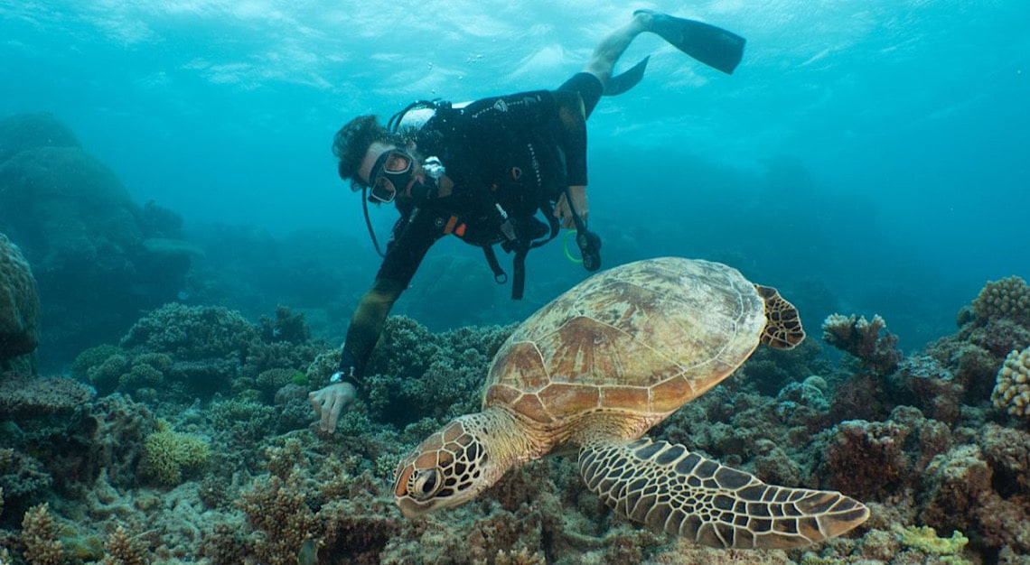 Great Barrier Reef