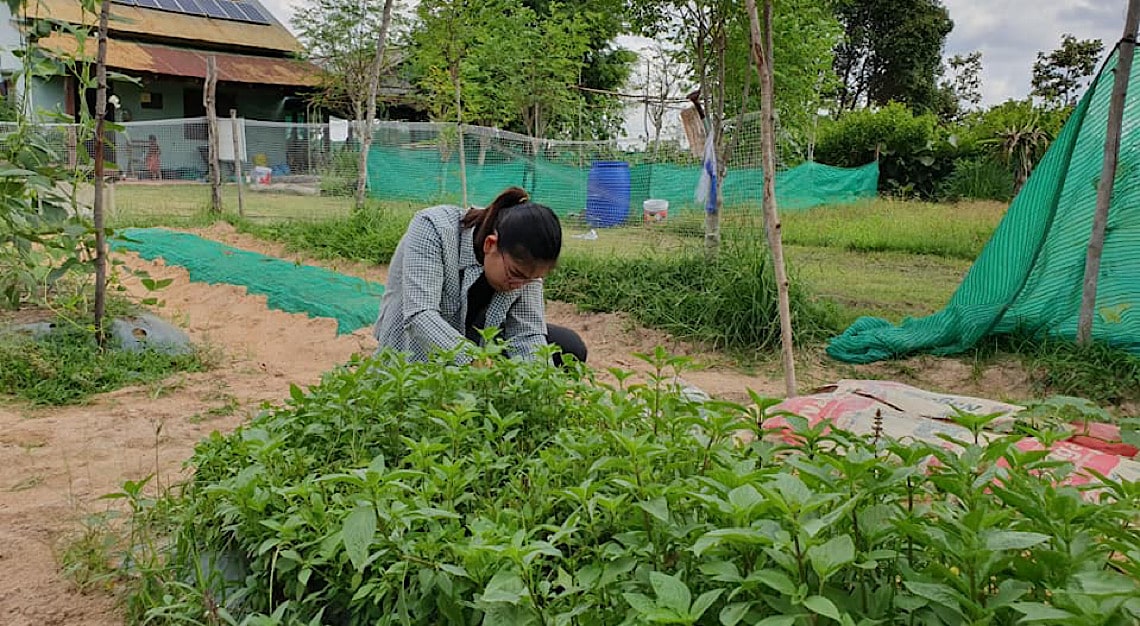 Shinta Mani Foundation Organic Farm