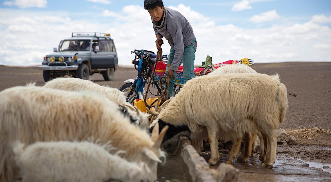 Mongolia Cashmere