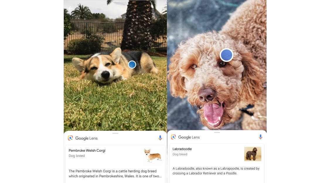 Google Lens