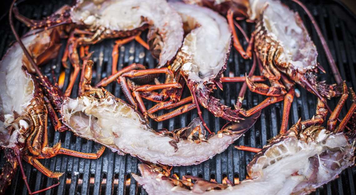 Unique Charters, freshly caught crayfish at Flinders Island, Tasmania