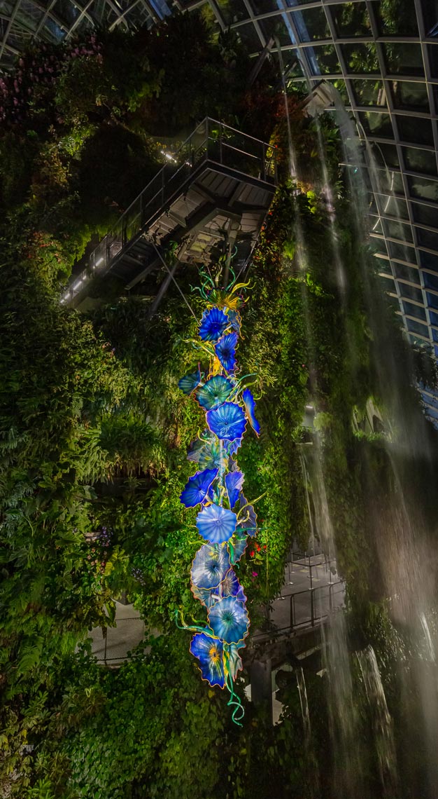 Dale Chihuly: Glass in Bloom exhibition