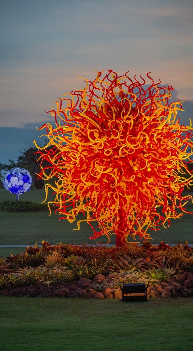 Dale Chihuly: Glass in Bloom exhibition